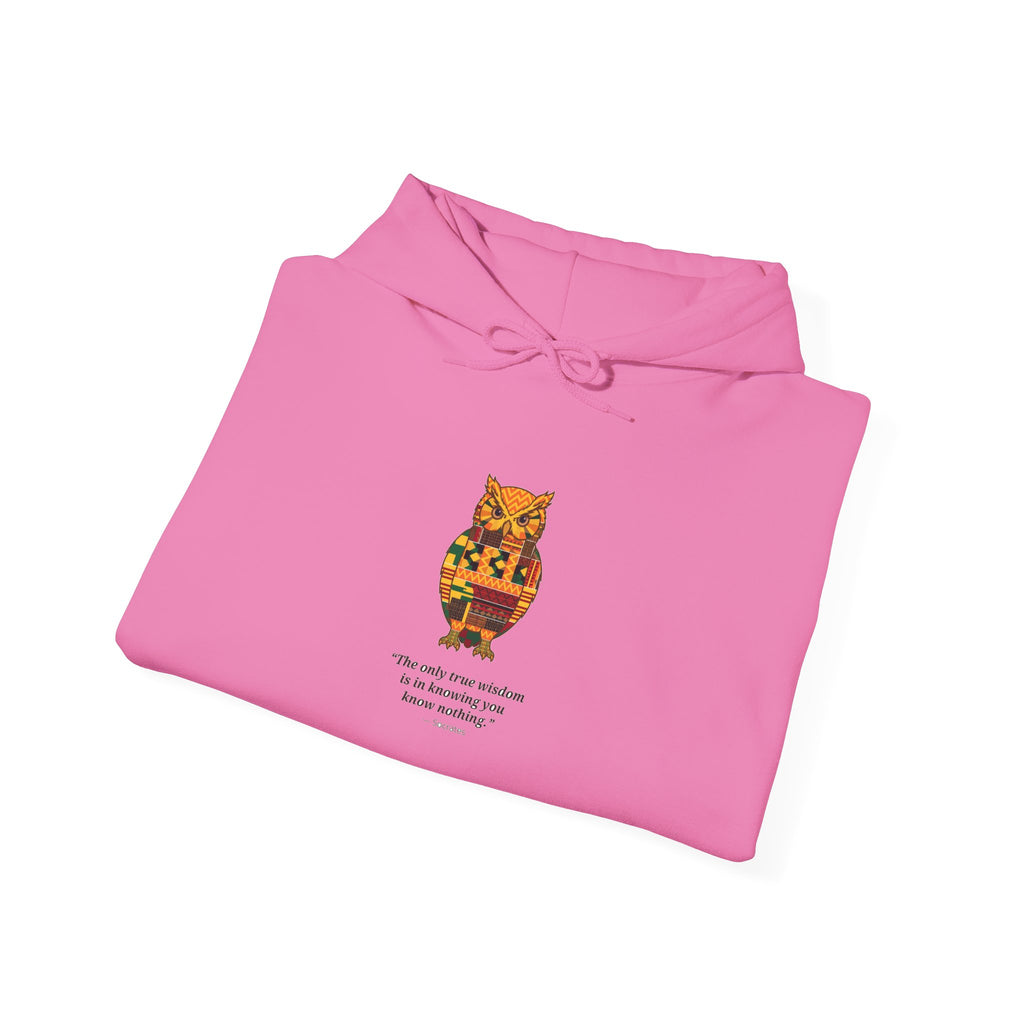 Kente Owl Hoodie